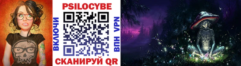 Купить  Полтавская  Галлюциногенные грибы Cubensis 